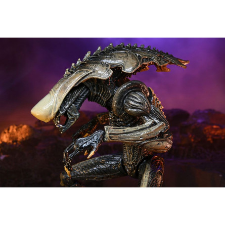 Neca Alien vs Predator - Alien Realistic Appearance - Complete set of 3 figures