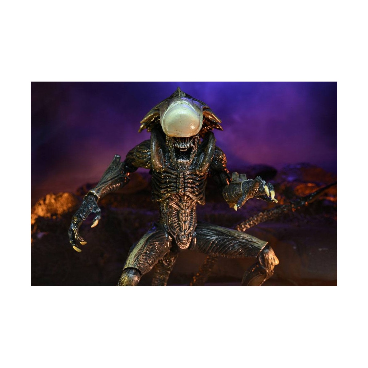 Neca Alien vs Predator - Alien Realistic Appearance - Complete set of 3 figures