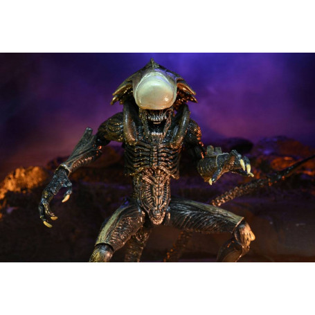 Neca Alien vs Predator - Alien Realistic Appearance - Complete set of 3 figures
