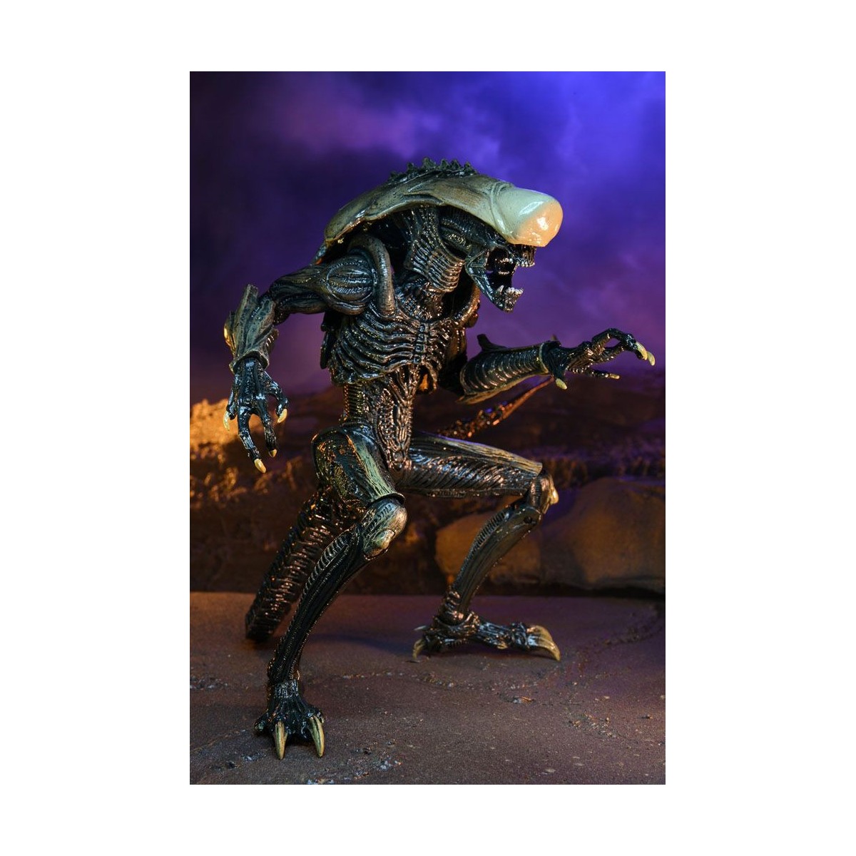 Neca Alien vs Predator - Alien Realistic Appearance - Complete set of 3 figures