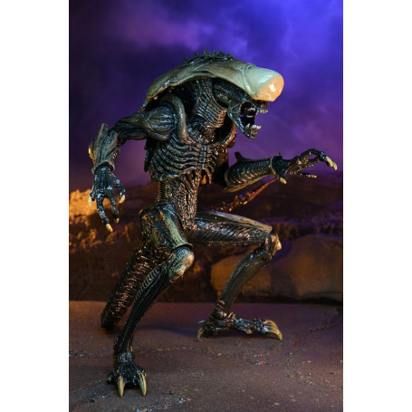 Neca Alien vs Predator - Alien Realistic Appearance - Complete set of 3 figures