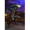 Neca Alien vs Predator - Alien Realistic Appearance - Complete set of 3 figures