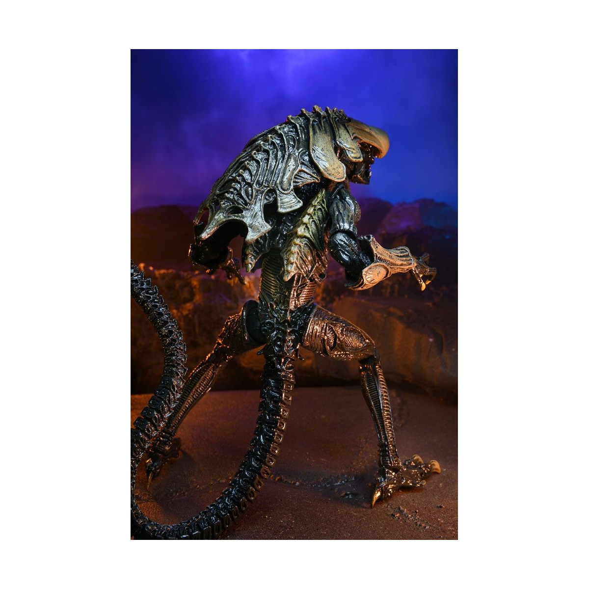 Neca Alien vs Predator - Alien Realistic Appearance - Complete set of 3 figures