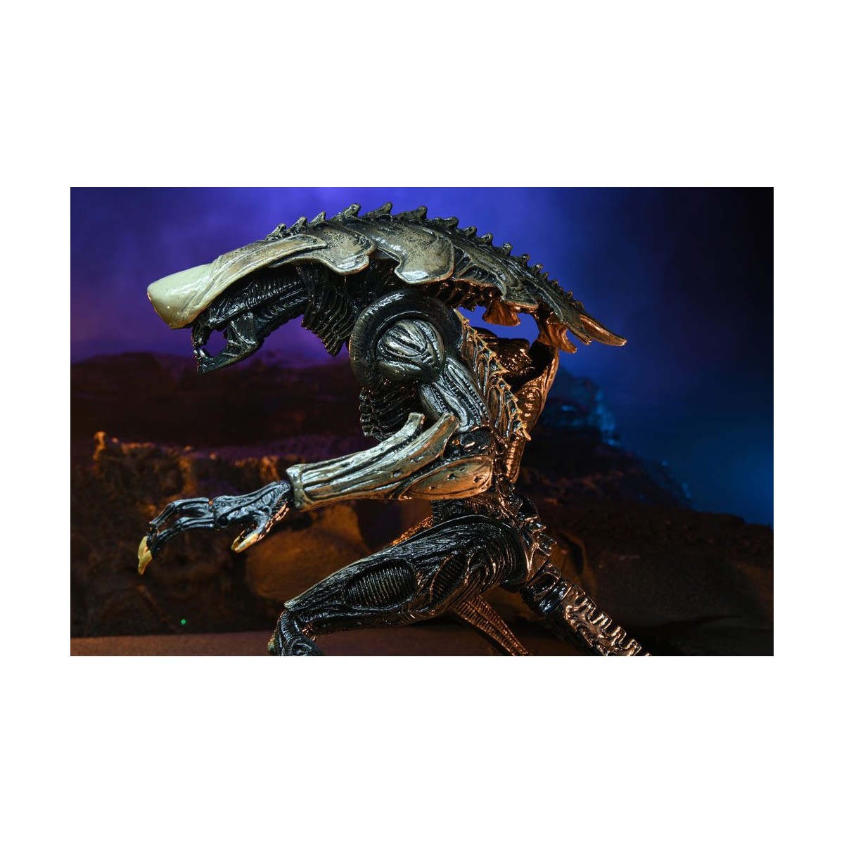 Neca Alien vs Predator - Alien Realistic Appearance - Complete set of 3 figures