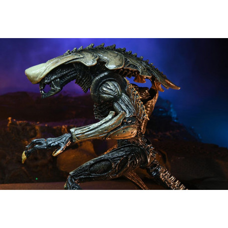 Neca Alien vs Predator - Alien Realistic Appearance - Complete set of 3 figures