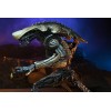 Neca Alien vs Predator - Alien Realistic Appearance - Complete set of 3 figures