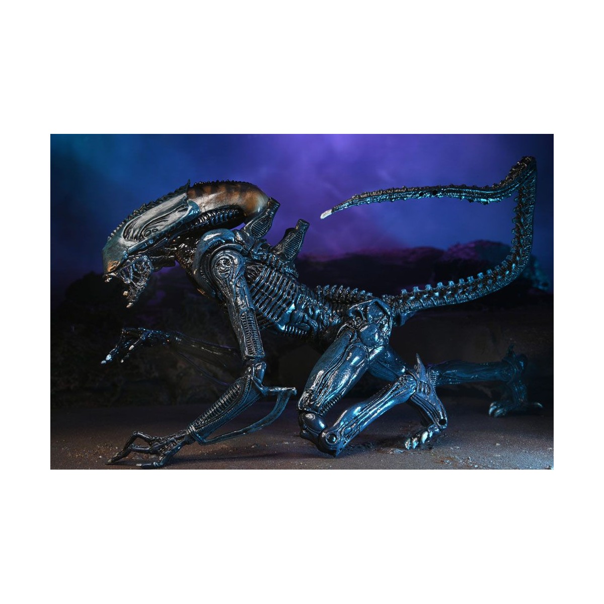 Neca Alien vs Predator - Alien Realistic Appearance - Complete set of 3 figures