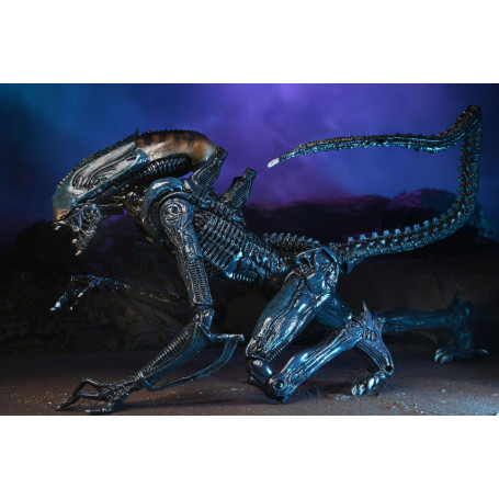 Neca Alien vs Predator - Alien Realistic Appearance - Complete set of 3 figures