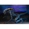 Neca Alien vs Predator - Alien Realistic Appearance - Complete set of 3 figures