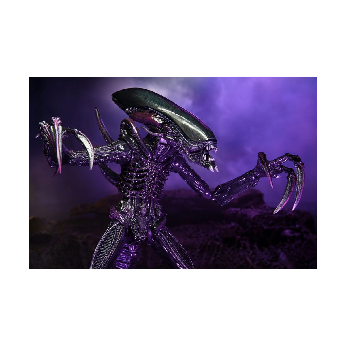 Neca Alien vs Predator - Alien Realistic Appearance - Complete set of 3 figures
