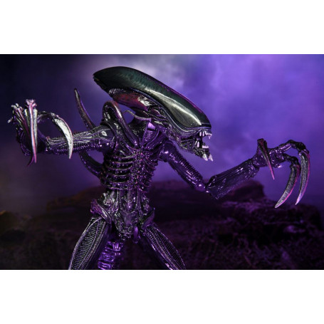 Neca Alien vs Predator - Alien Realistic Appearance - Complete set of 3 figures