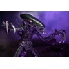 Neca Alien vs Predator - Alien Realistic Appearance - Complete set of 3 figures