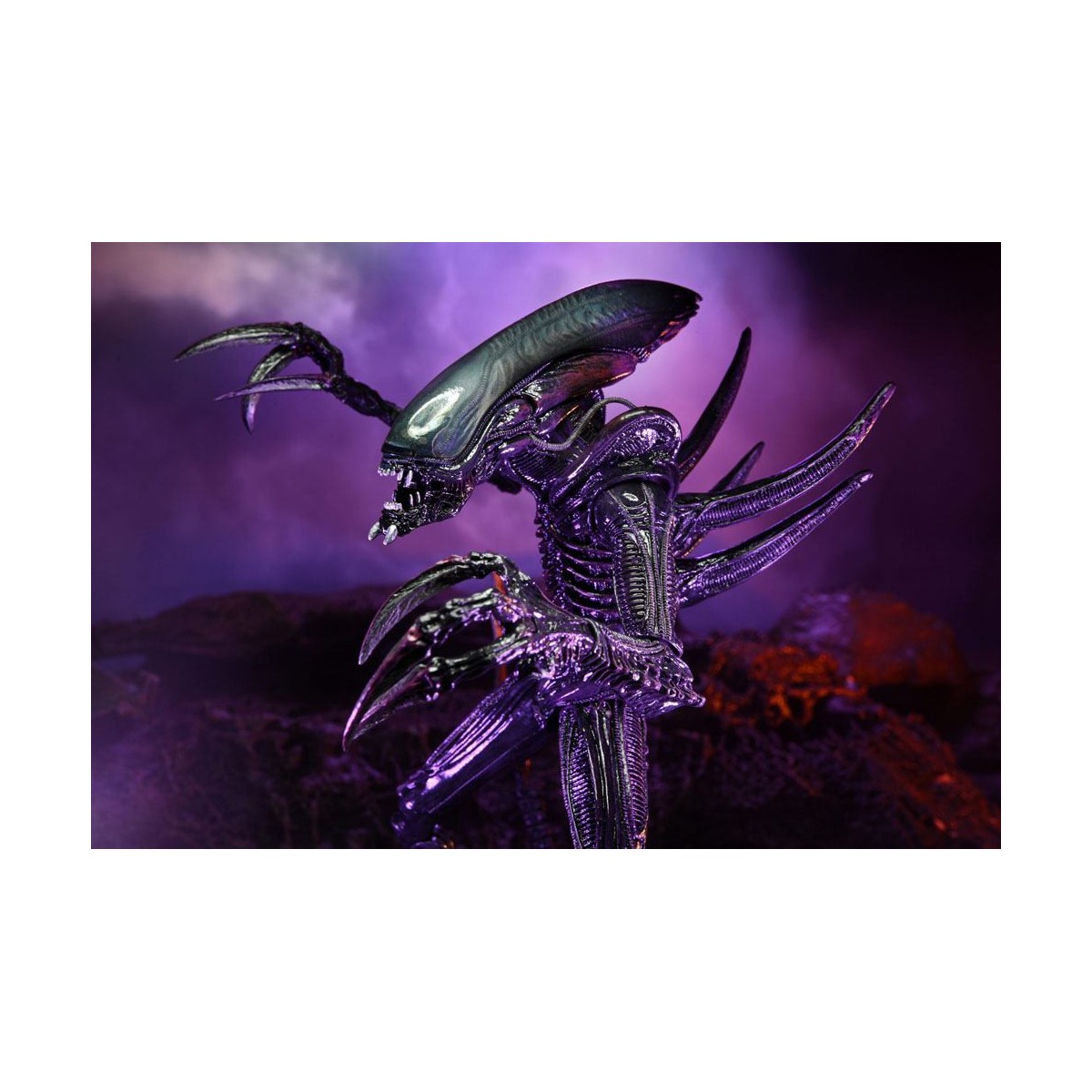 Neca Alien vs Predator - Alien Realistic Appearance - Complete set of 3 figures