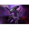 Neca Alien vs Predator - Alien Realistic Appearance - Complete set of 3 figures
