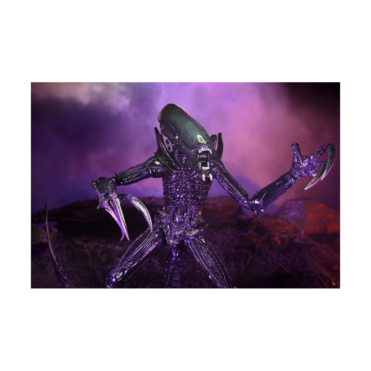 Neca Alien vs Predator - Alien Realistic Appearance - Complete set of 3 figures