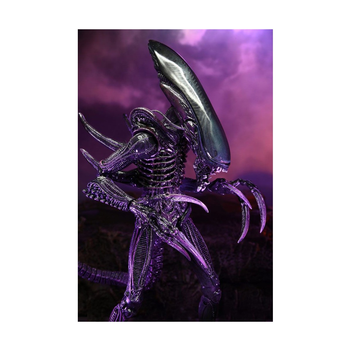 Neca Alien vs Predator - Alien Realistic Appearance - Complete set of 3 figures