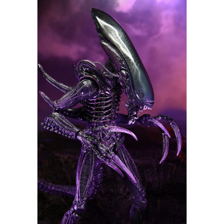 Neca Alien vs Predator - Alien Realistic Appearance - Complete set of 3 figures