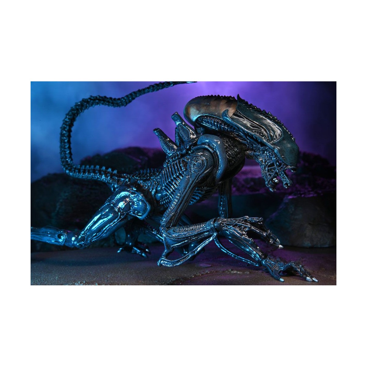 Neca Alien vs Predator - Alien Realistic Appearance - Complete set of 3 figures