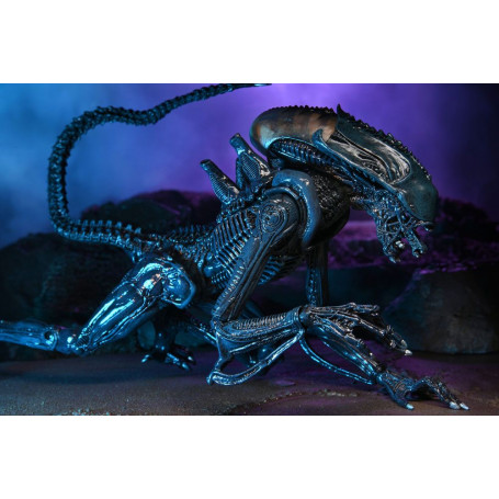 Neca Alien vs Predator - Alien Realistic Appearance - Complete set of 3 figures