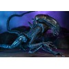 Neca Alien vs Predator - Alien Realistic Appearance - Complete set of 3 figures