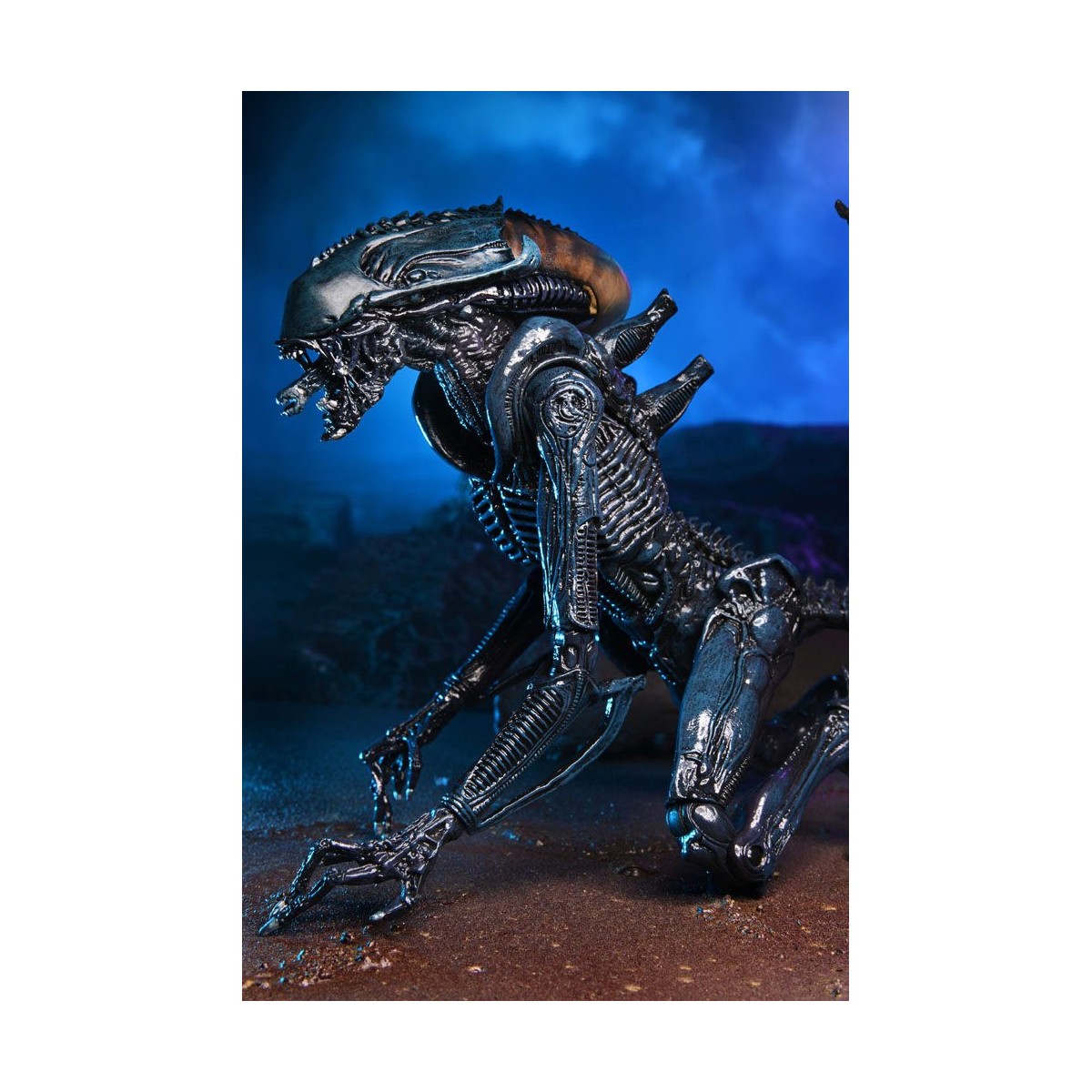 Neca Alien vs Predator - Alien Realistic Appearance - Complete set of 3 figures