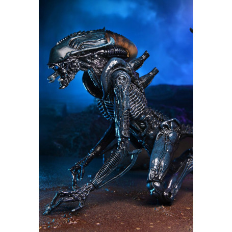 Neca Alien vs Predator - Alien Realistic Appearance - Complete set of 3 figures