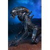 Neca Alien vs Predator - Alien Realistic Appearance - Complete set of 3 figures