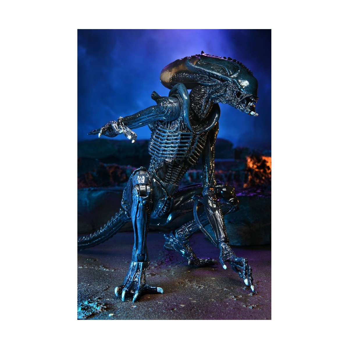 Neca Alien vs Predator - Alien Realistic Appearance - Complete set of 3 figures