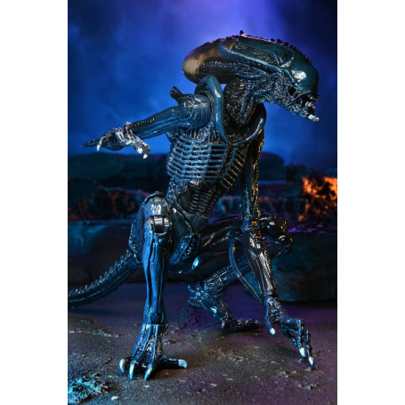Neca Alien vs Predator - Alien Realistic Appearance - Complete set of 3 figures