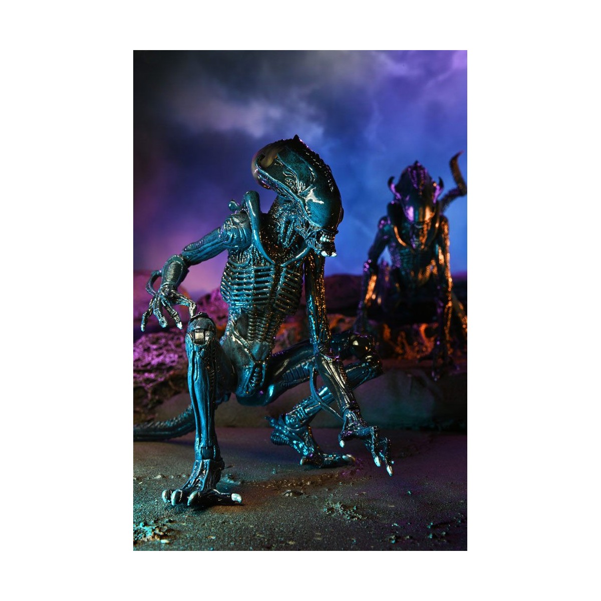Neca Alien vs Predator - Alien Realistic Appearance - Complete set of 3 figures
