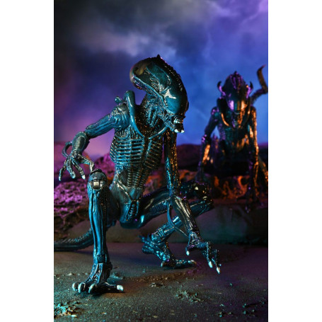 Neca Alien vs Predator - Alien Realistic Appearance - Complete set of 3 figures