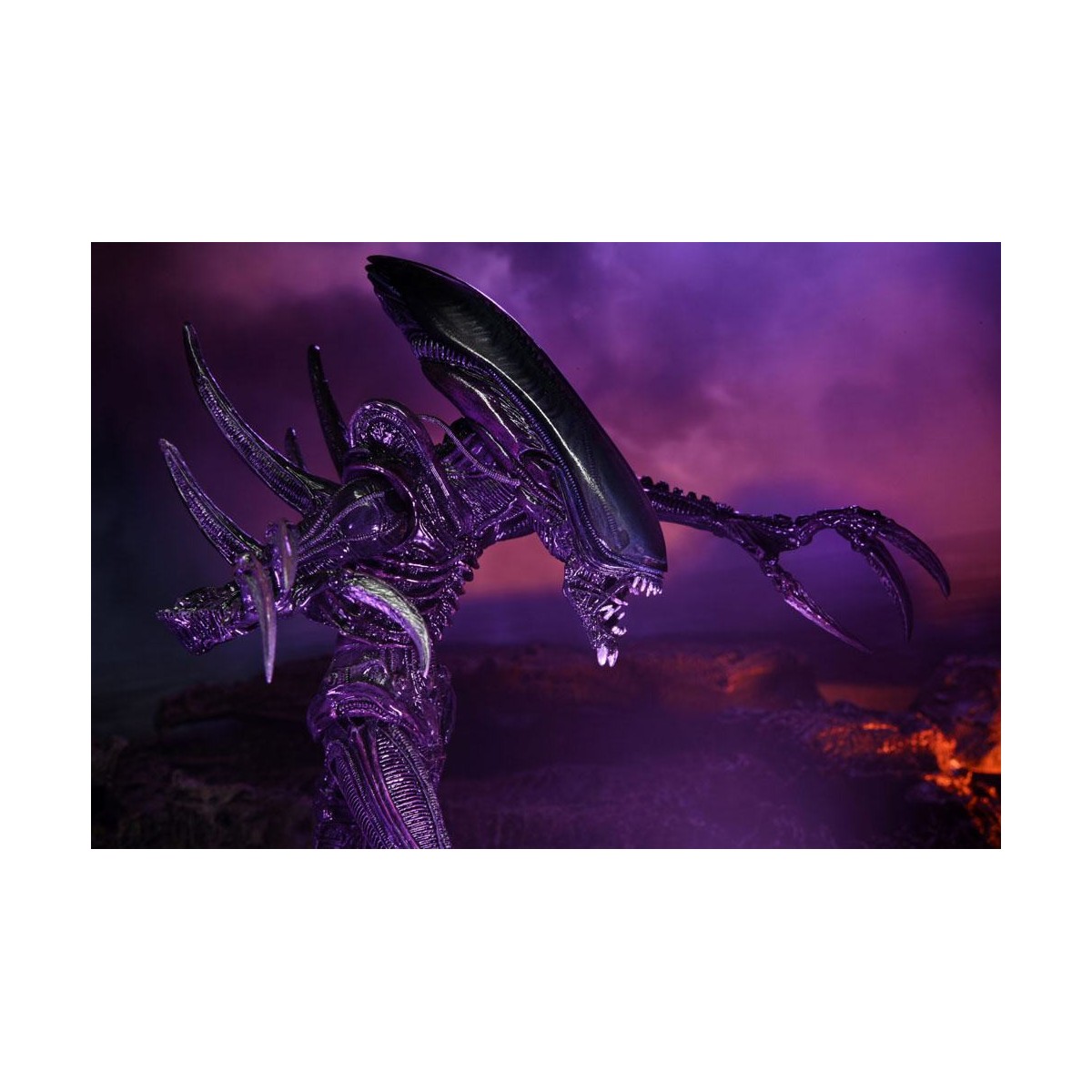 Neca Alien vs Predator - Alien Realistic Appearance - Complete set of 3 figures