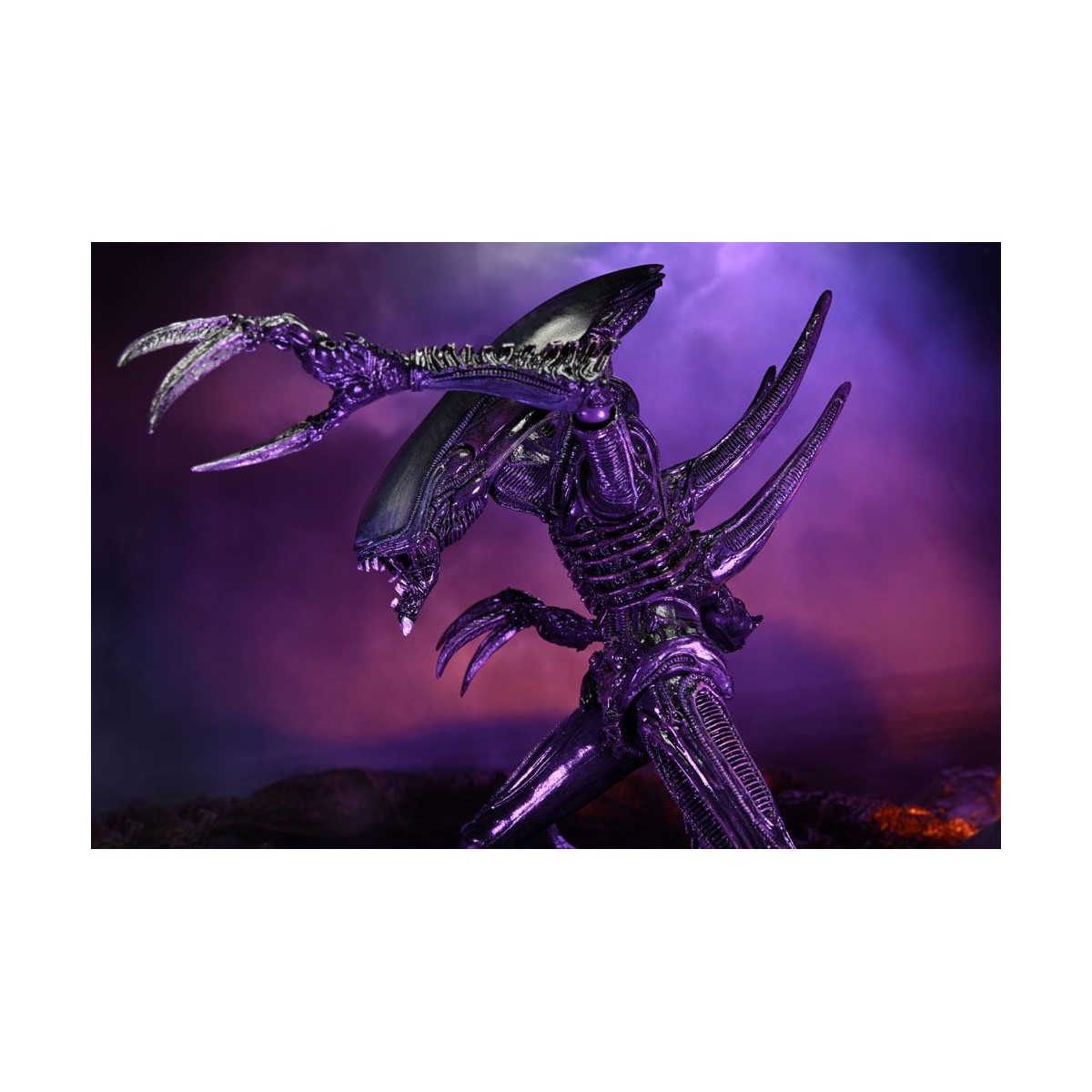 Neca Alien vs Predator - Alien Realistic Appearance - Complete set of 3 figures