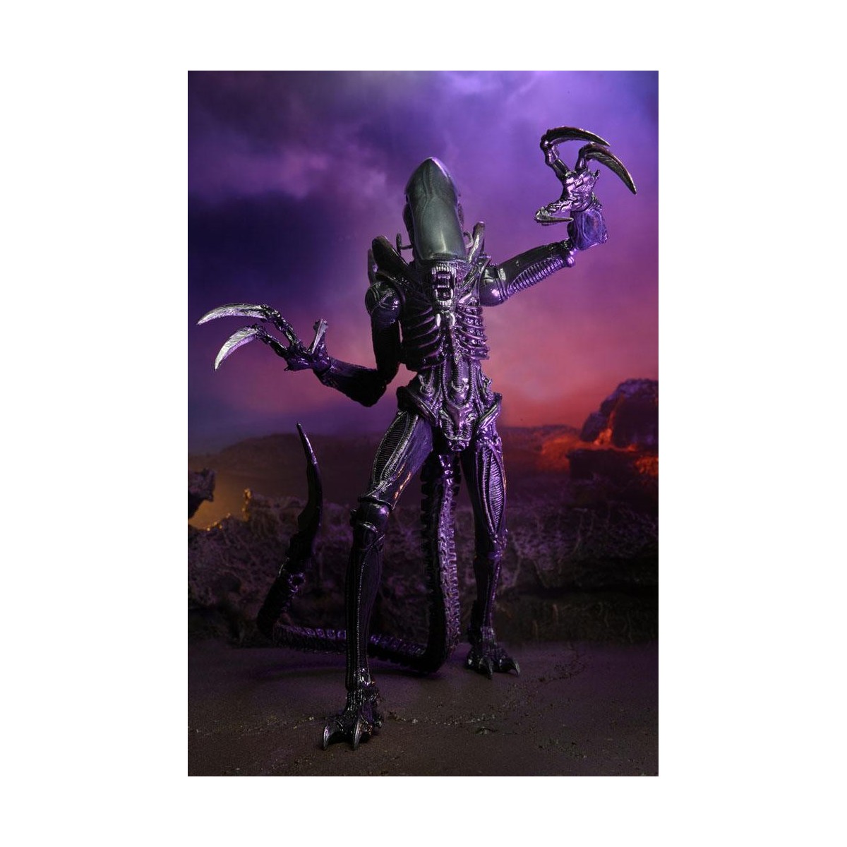 Neca Alien vs Predator - Alien Realistic Appearance - Complete set of 3 figures