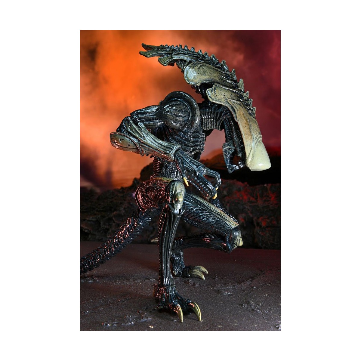 Neca Alien vs Predator - Alien Realistic Appearance - Complete set of 3 figures