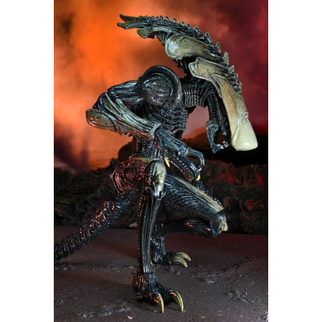 Neca Alien vs Predator - Alien Realistic Appearance - Complete set of 3 figures