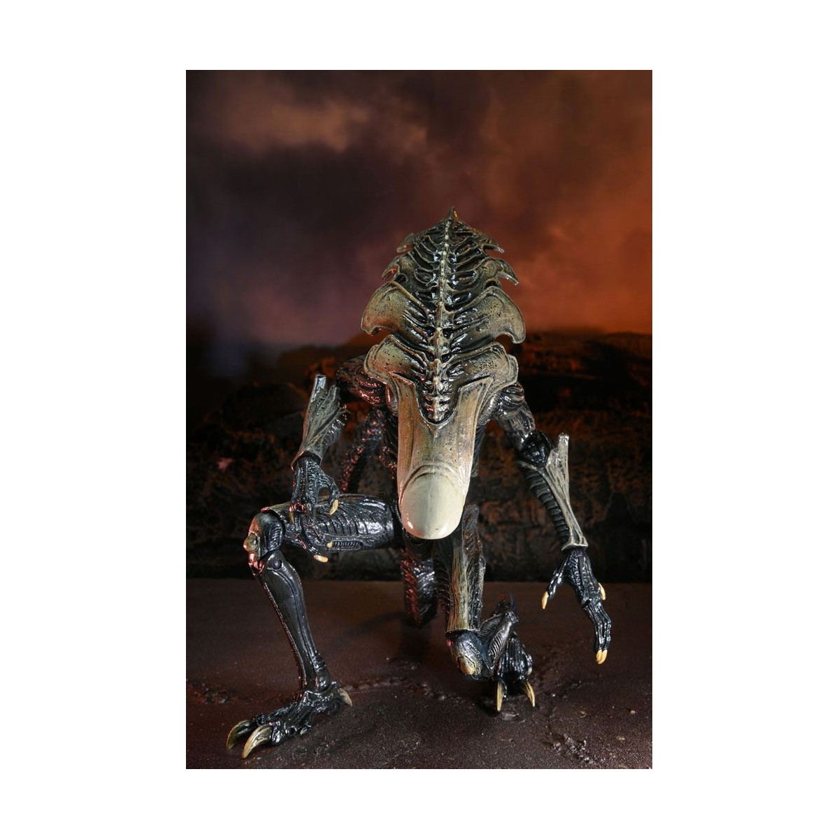 Neca Alien vs Predator - Alien Realistic Appearance - Complete set of 3 figures
