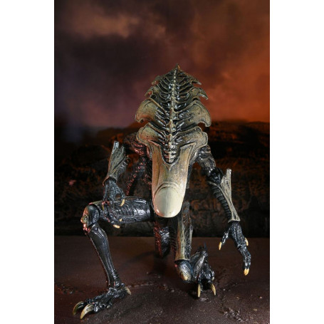Neca Alien vs Predator - Alien Realistic Appearance - Complete set of 3 figures