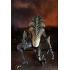 Neca Alien vs Predator - Alien Realistic Appearance - Complete set of 3 figures