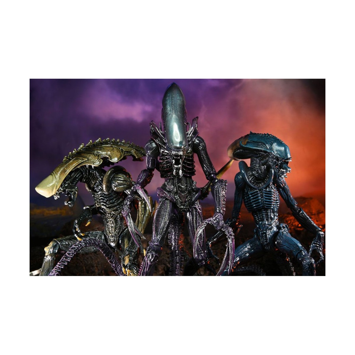 Neca Alien vs Predator - Alien Realistic Appearance - Complete set of 3 figures