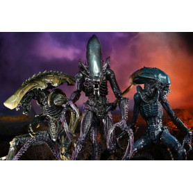 Neca Alien vs Predator - Alien Realistic Appearance - Complete set of 3 figures