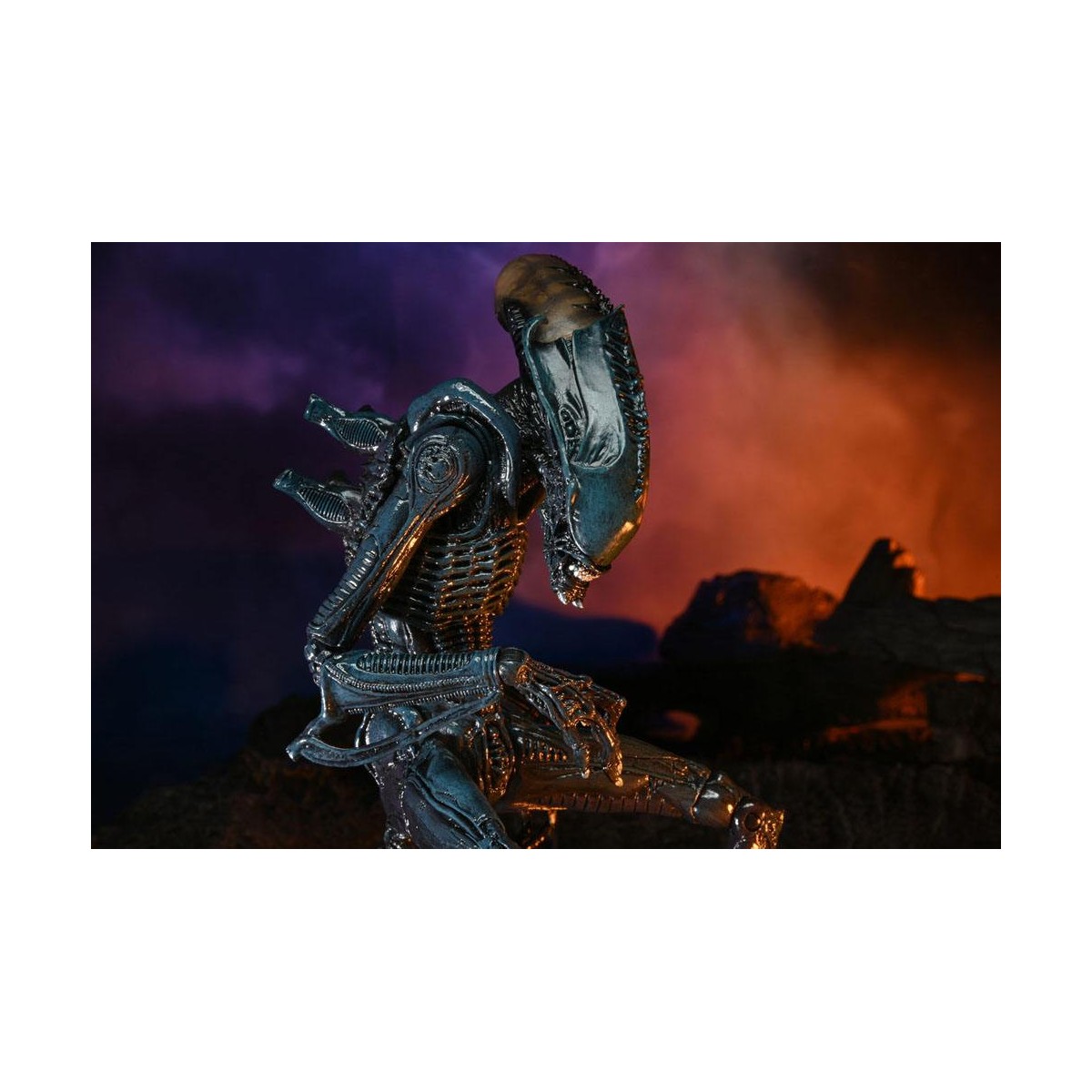 Neca Alien vs Predator - Alien Realistic Appearance - Complete set of 3 figures
