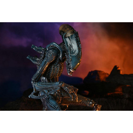 Neca Alien vs Predator - Alien Realistic Appearance - Complete set of 3 figures