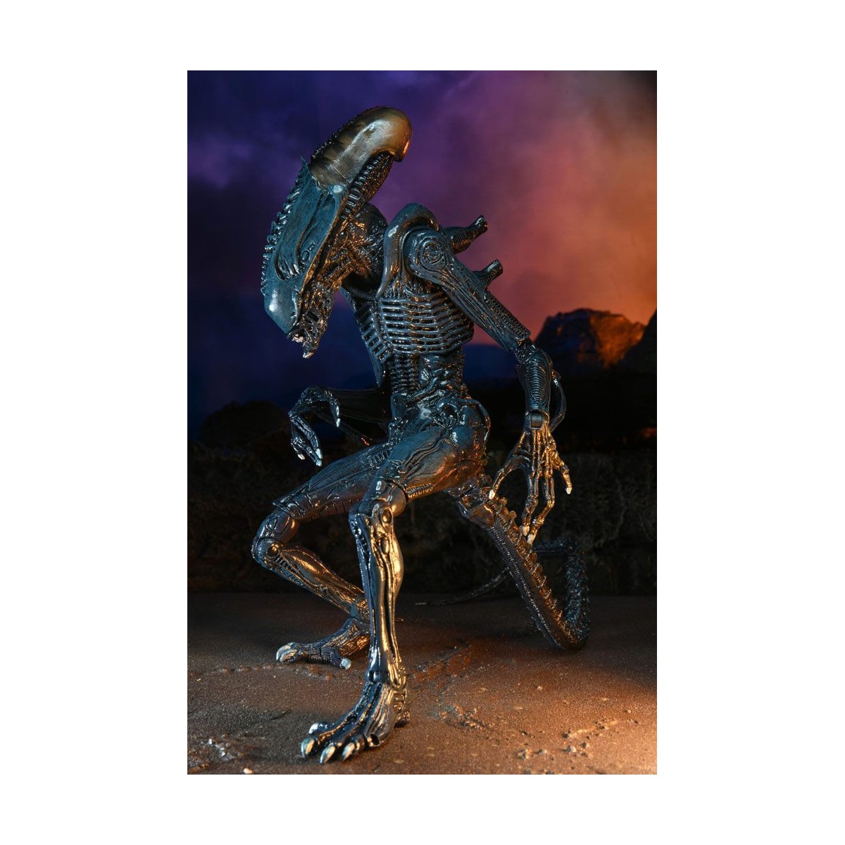 Neca Alien vs Predator - Alien Realistic Appearance - Complete set of 3 figures