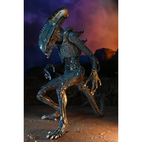 Neca Alien vs Predator - Alien Realistic Appearance - Complete set of 3 figures