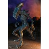 Neca Alien vs Predator - Alien Realistic Appearance - Complete set of 3 figures