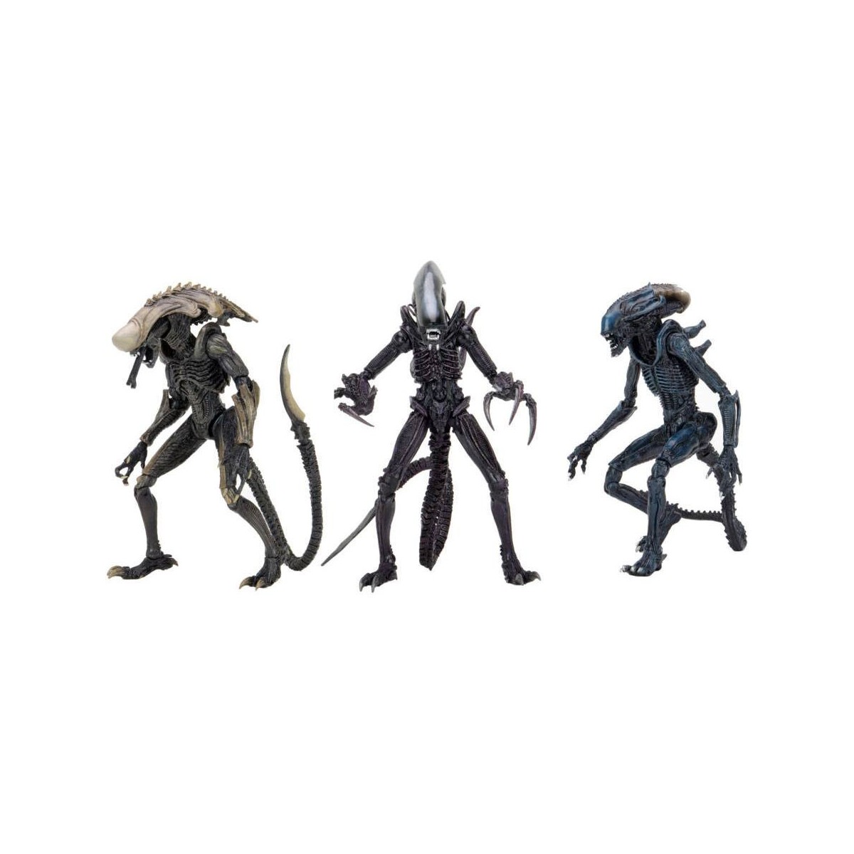 Neca Alien vs Predator - Alien Realistic Appearance - Complete set of 3 figures