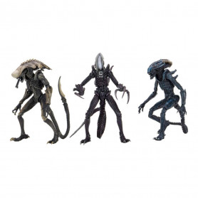 Neca Alien vs Predator - Alien Realistic Appearance - Complete set of 3 figures