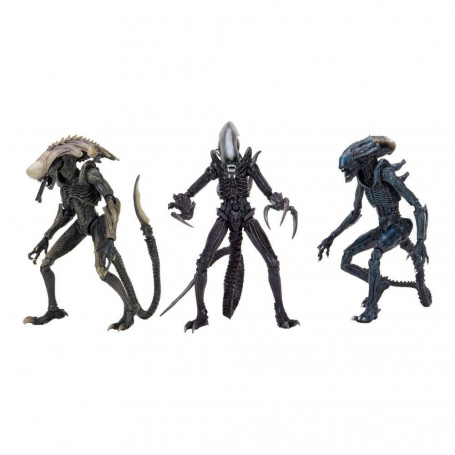 Neca Alien vs Predator - Alien Realistic Appearance - Complete set of 3 figures