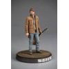 Dark Horse - The Last of Us 2 - Joel
